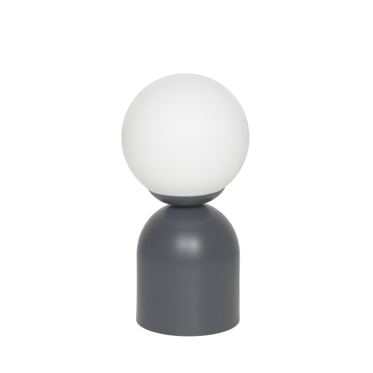 VE1050 - GRIS